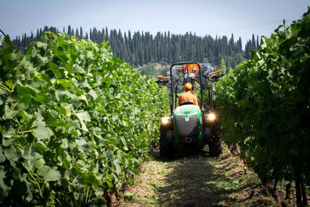 enovitis 23 23giugno090 img zoom 3101