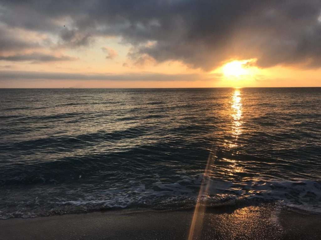 fa6d40b5 b431 4c65 b909 3389f33eb5bc