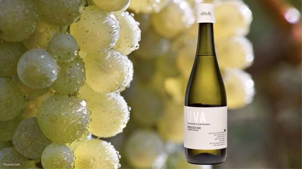 foto grappoloebottigliaproseccosostenibile scaled