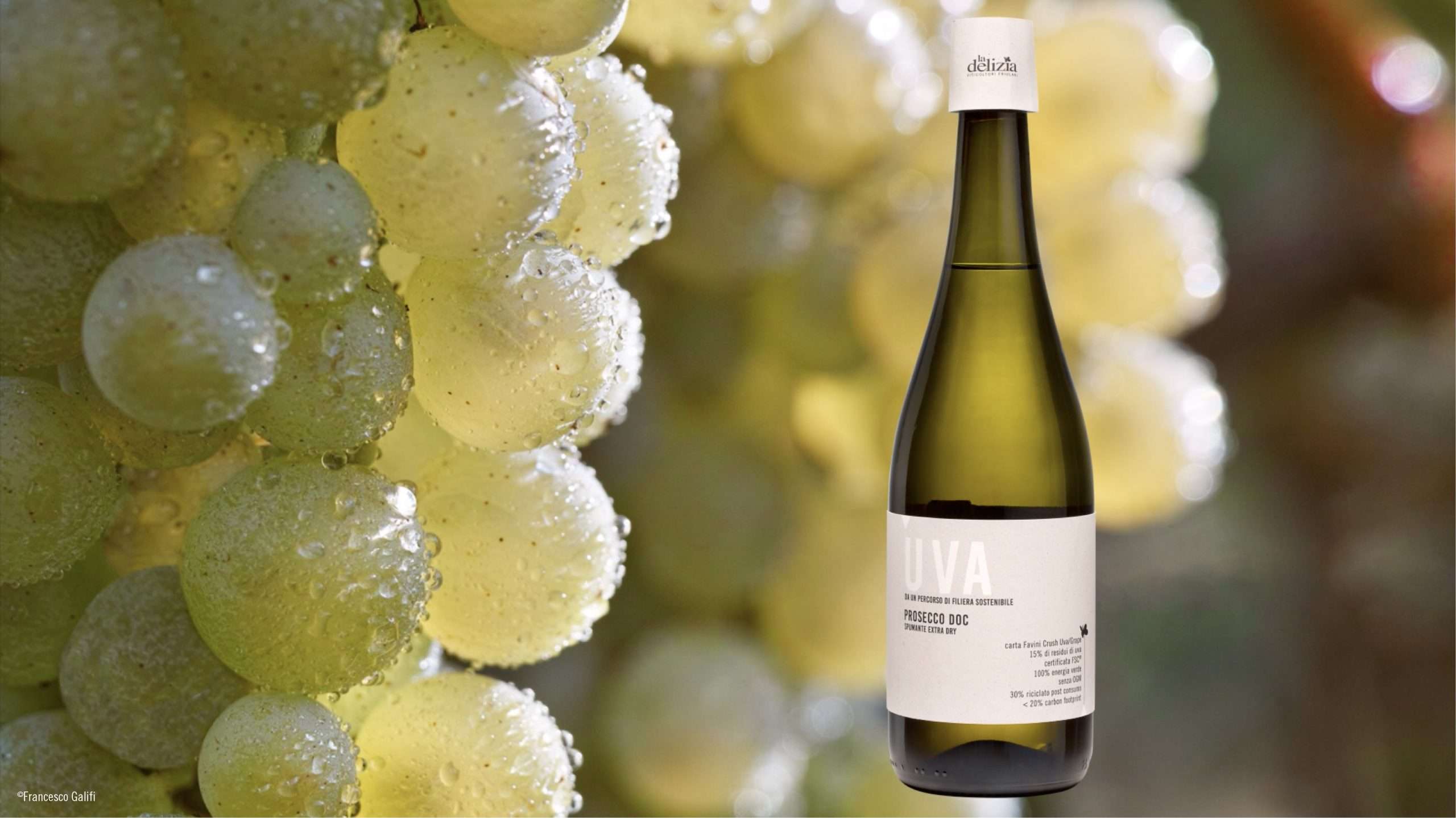 foto grappoloebottigliaproseccosostenibile scaled