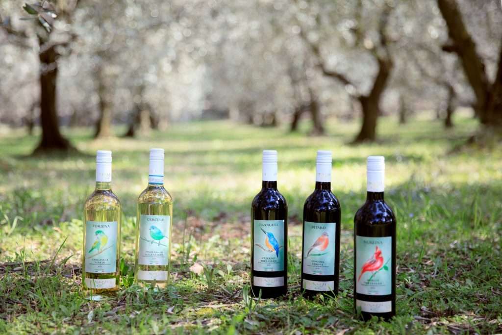 fotodigruppovenetobio1