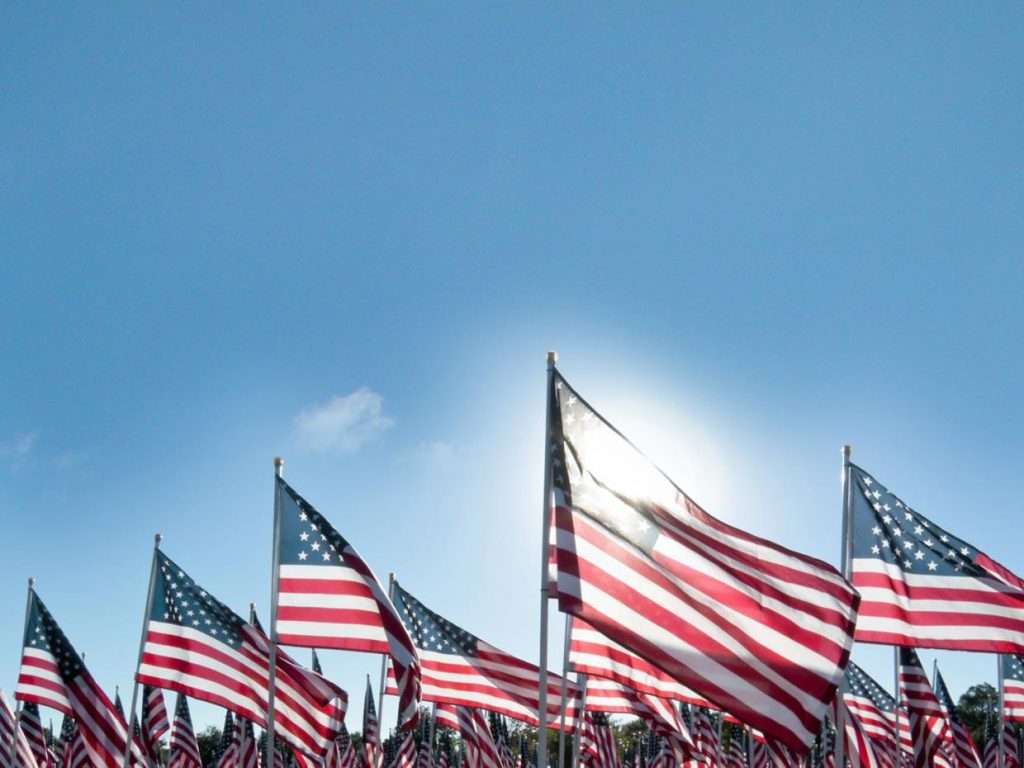 government contracts usa info