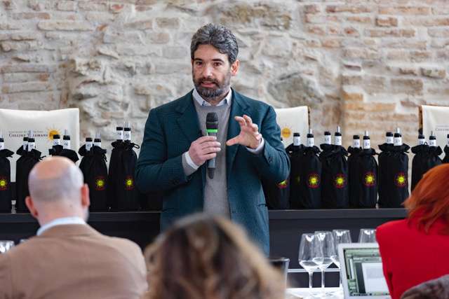 ilpresidentedelconsorziocerulliirelli