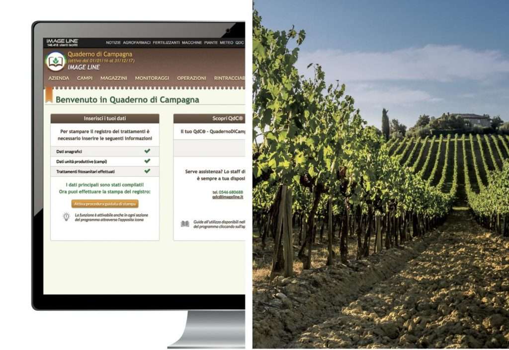 image line qdc vigneto winemeridian 2018