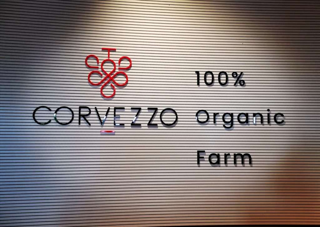 img 20191017 221637 resized 20191021 020509671