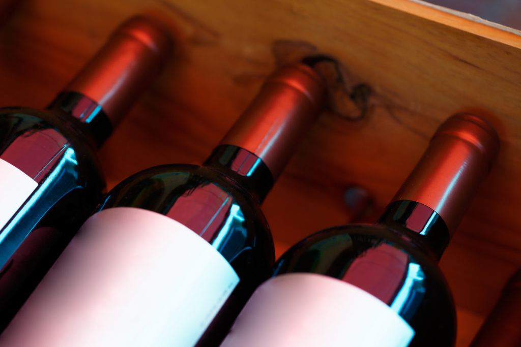 internoarticoliigl 16