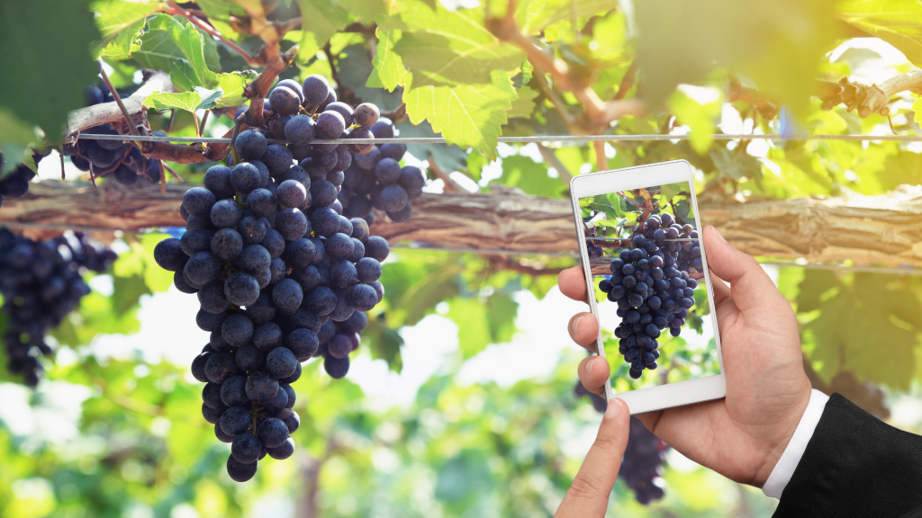 internoarticoliwm 10