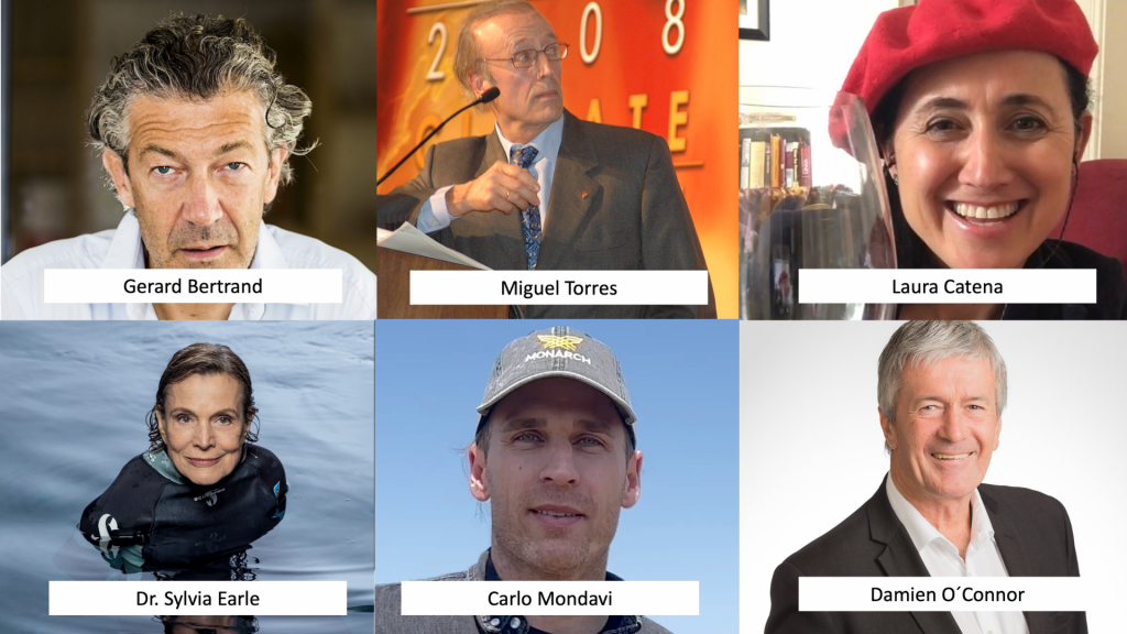 internoarticoliwm 11