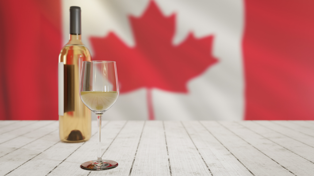 internoarticoliwm 13