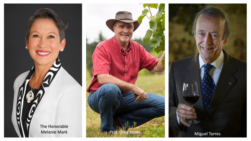 internoarticoliwm 16