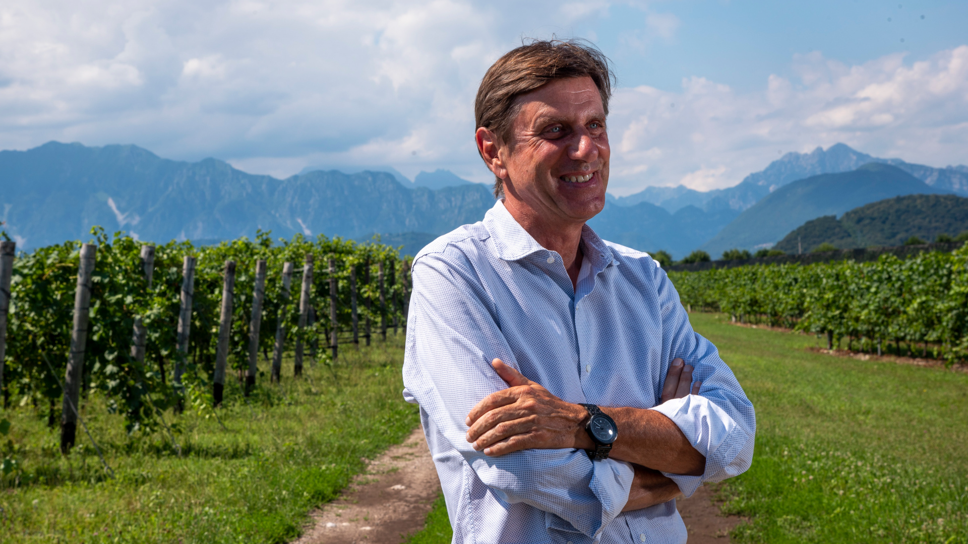 internoarticoliwm 18