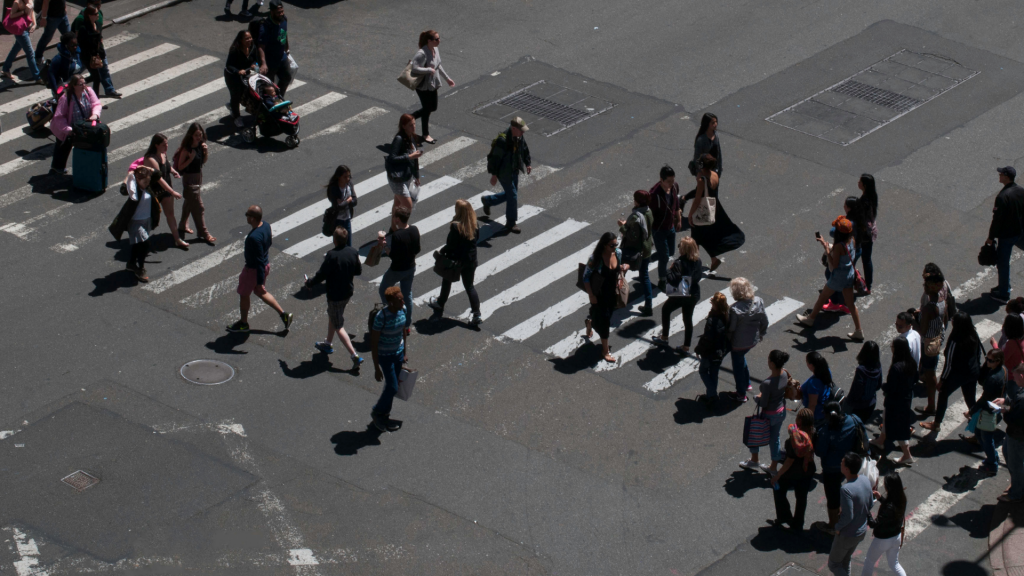 internoarticoliwm 22