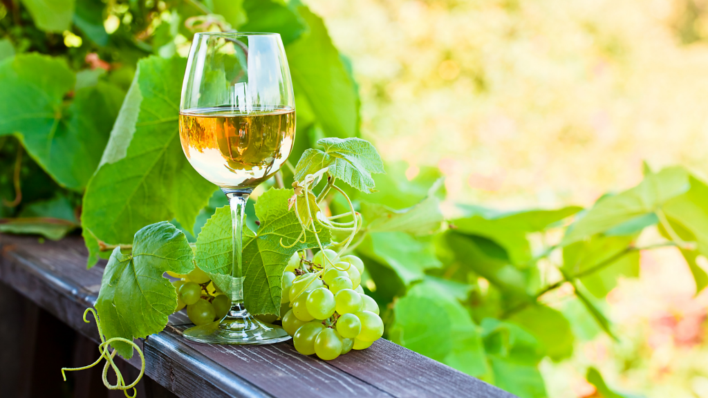 internoarticoliwm 23