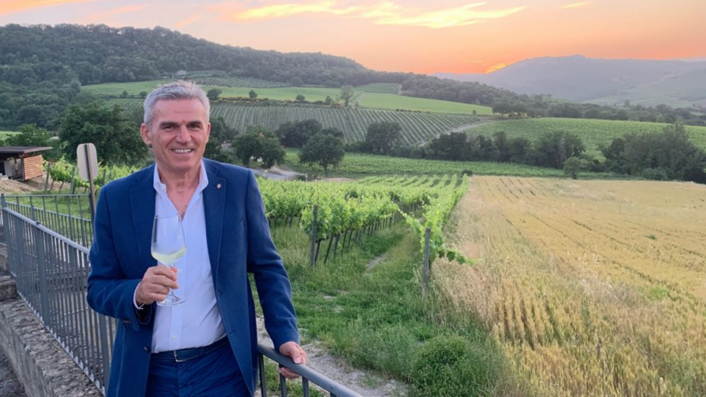 internoarticoliwm 29