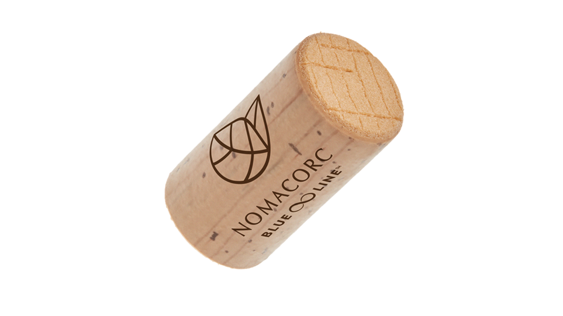 internoarticoliwm 41