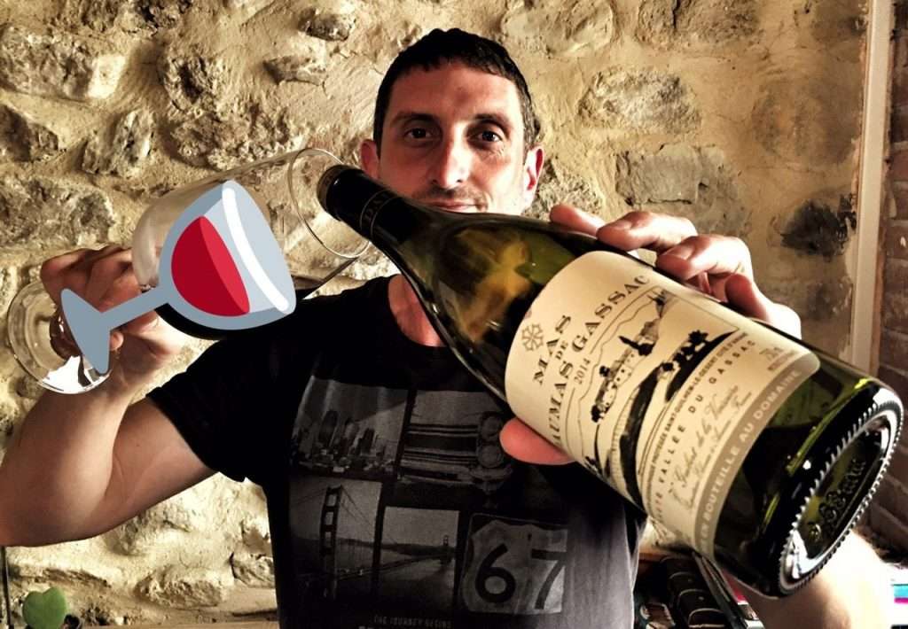 languedocdaymasdaumasgassacpouringwine
