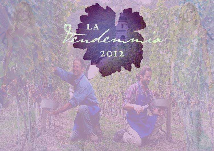 lavendemmiamontenapoleone