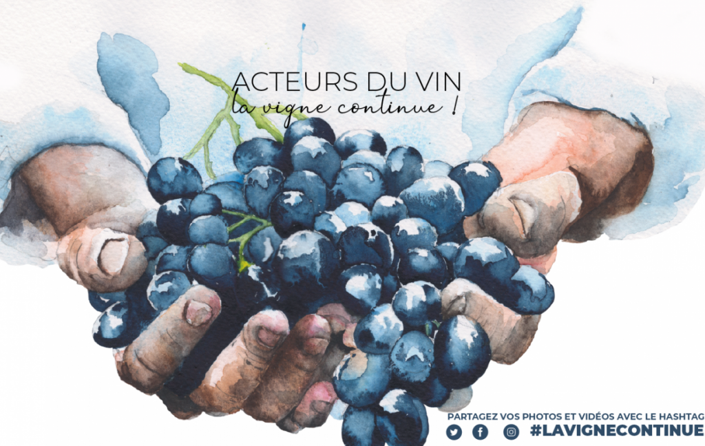 lavignecontinuesite site