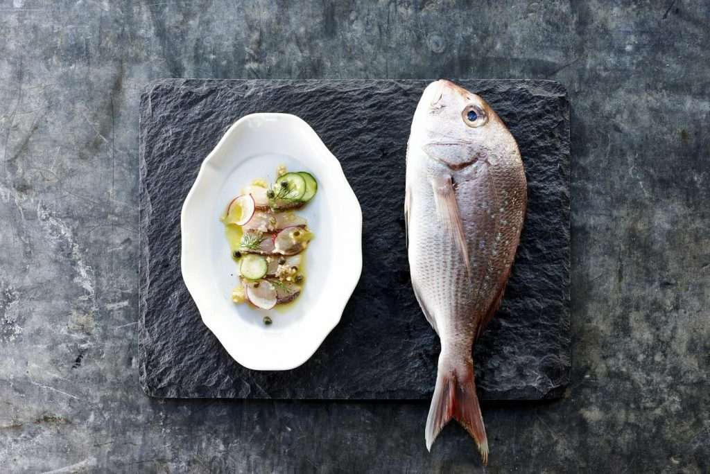 madaisnappercrudo derekrichmond