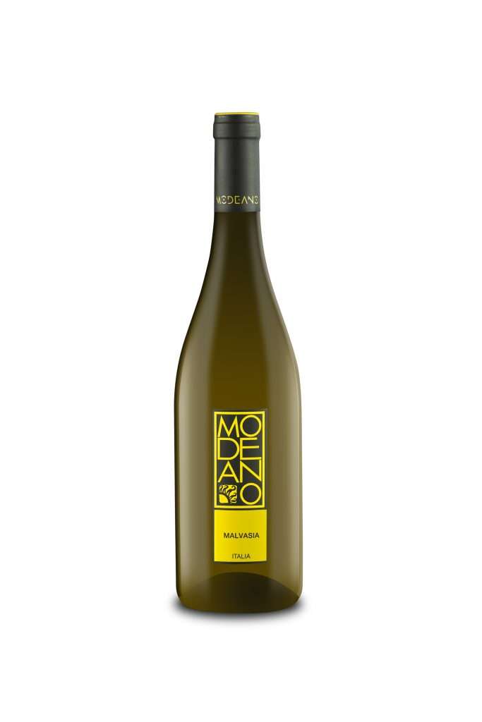 malvasia modeano scaled