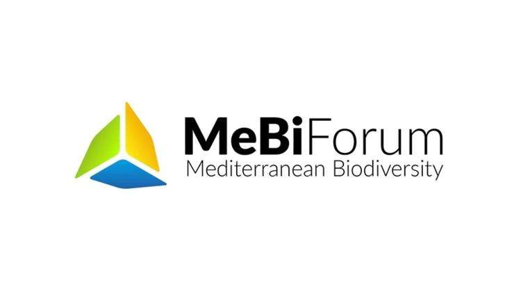 mebiforum 2018