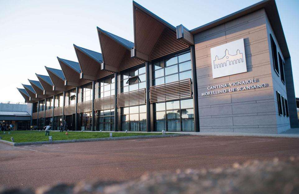 morellino 01 962x624 1