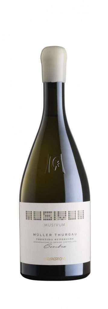 musivummullerbtscont 2865