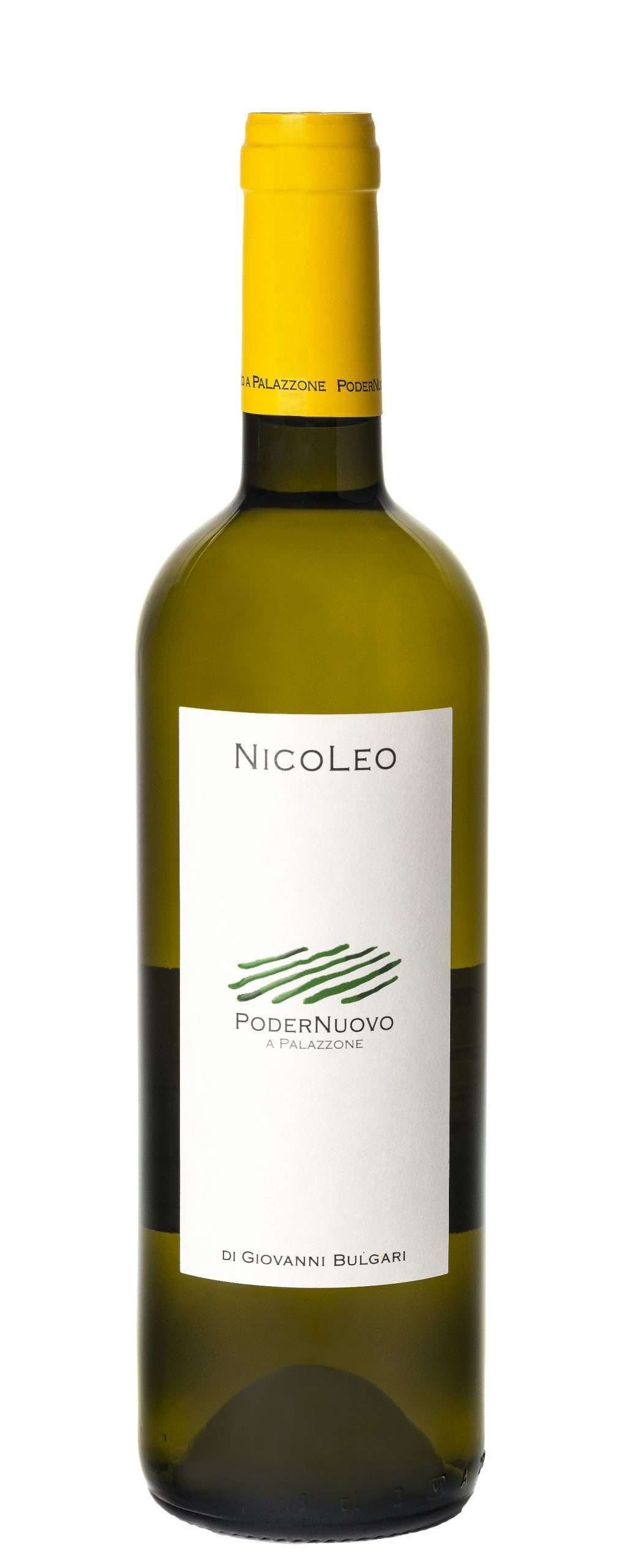 nicoleosfondobiancoritagliatacopia2 scaled