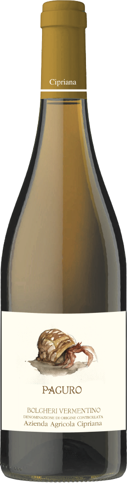 paguro removebg preview