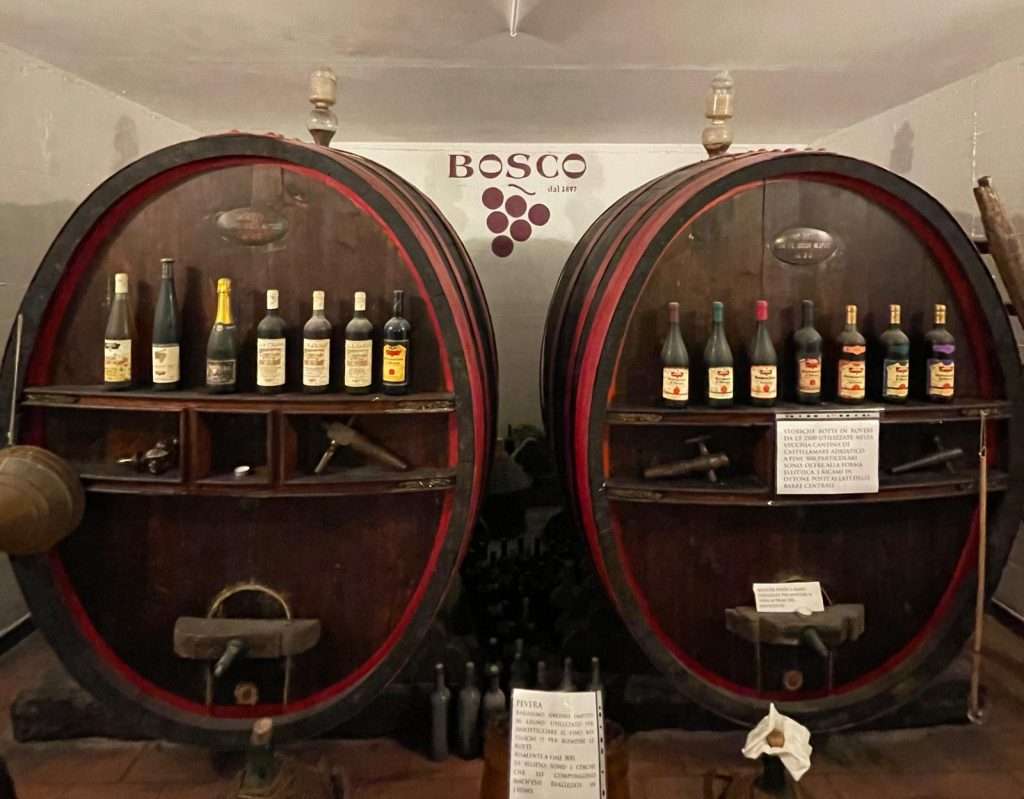 photo 2022 03 31 14 49 05