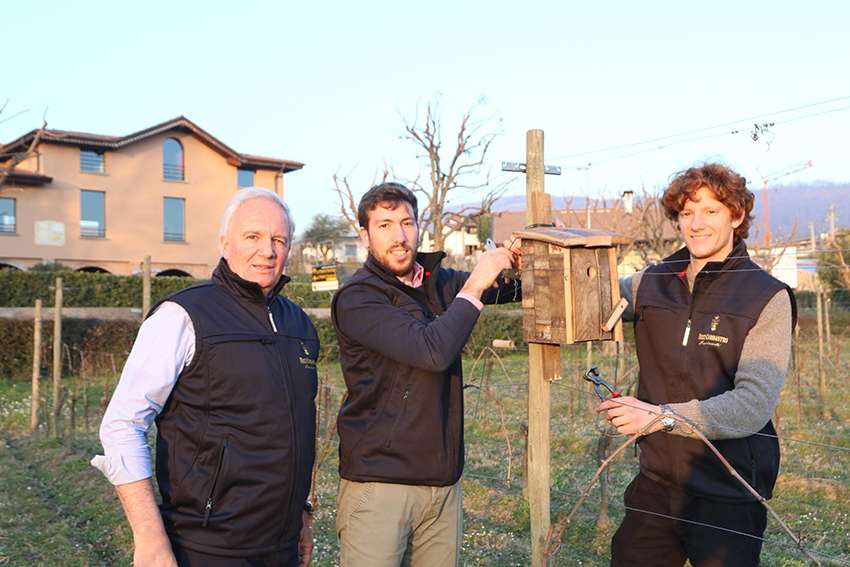 posa dei nidi artificiali nel vigneto da sx riccardo gualberto e filippo ricci curbastro 2rid