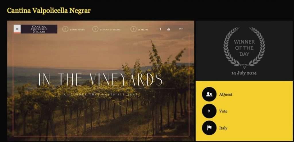 premiositodelgiornocssawardcsswinner