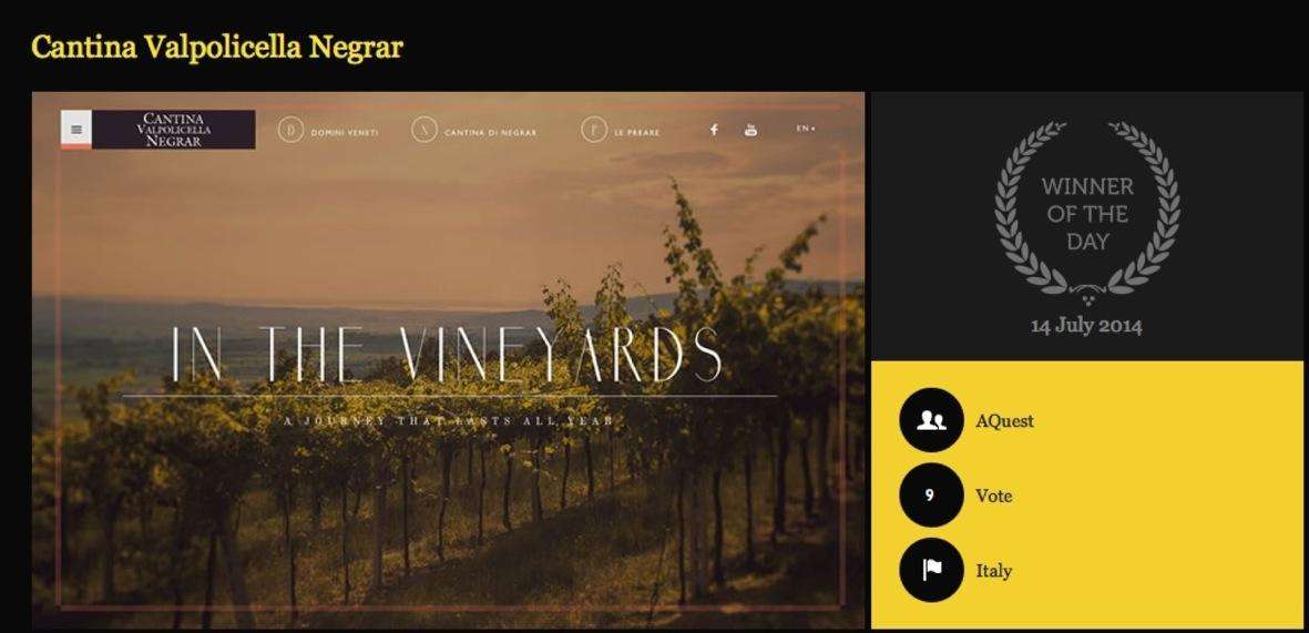 premiositodelgiornocssawardcsswinner