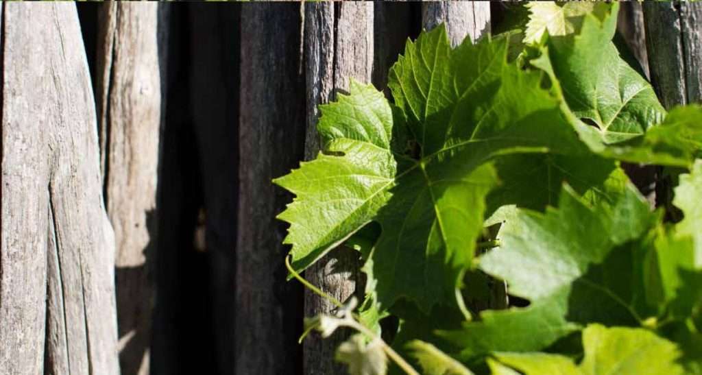 prima riga  125 1275x681