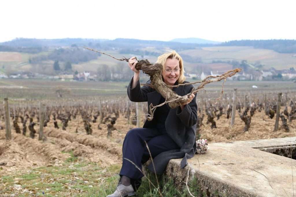 rasastarkus vynoklubas lituania