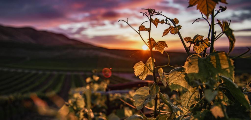 riflessionieditoriale