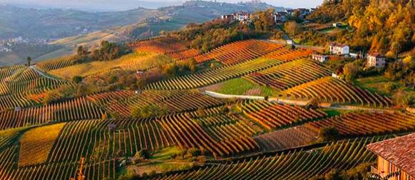 schermata2018 11 29alle16