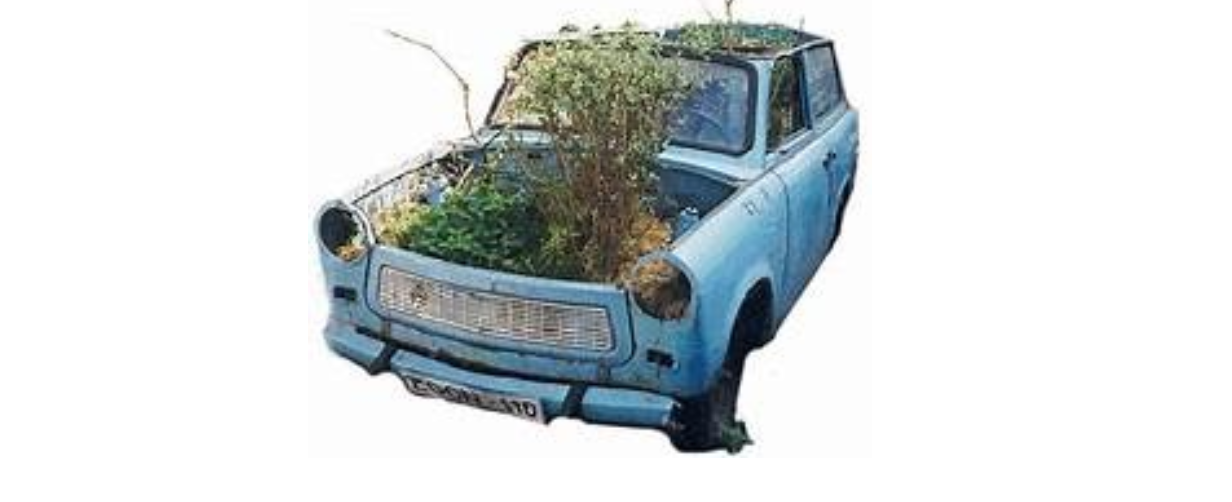 schermata2020 03 31alle11