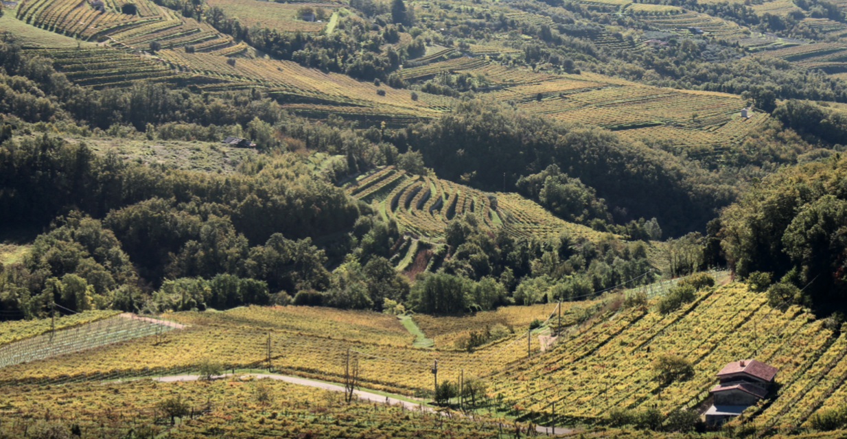 schermata2020 10 01alle12.10.56