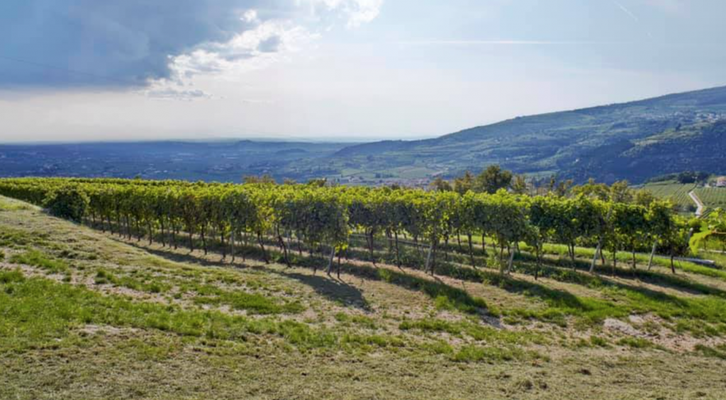 schermata2020 11 05alle21.20.56