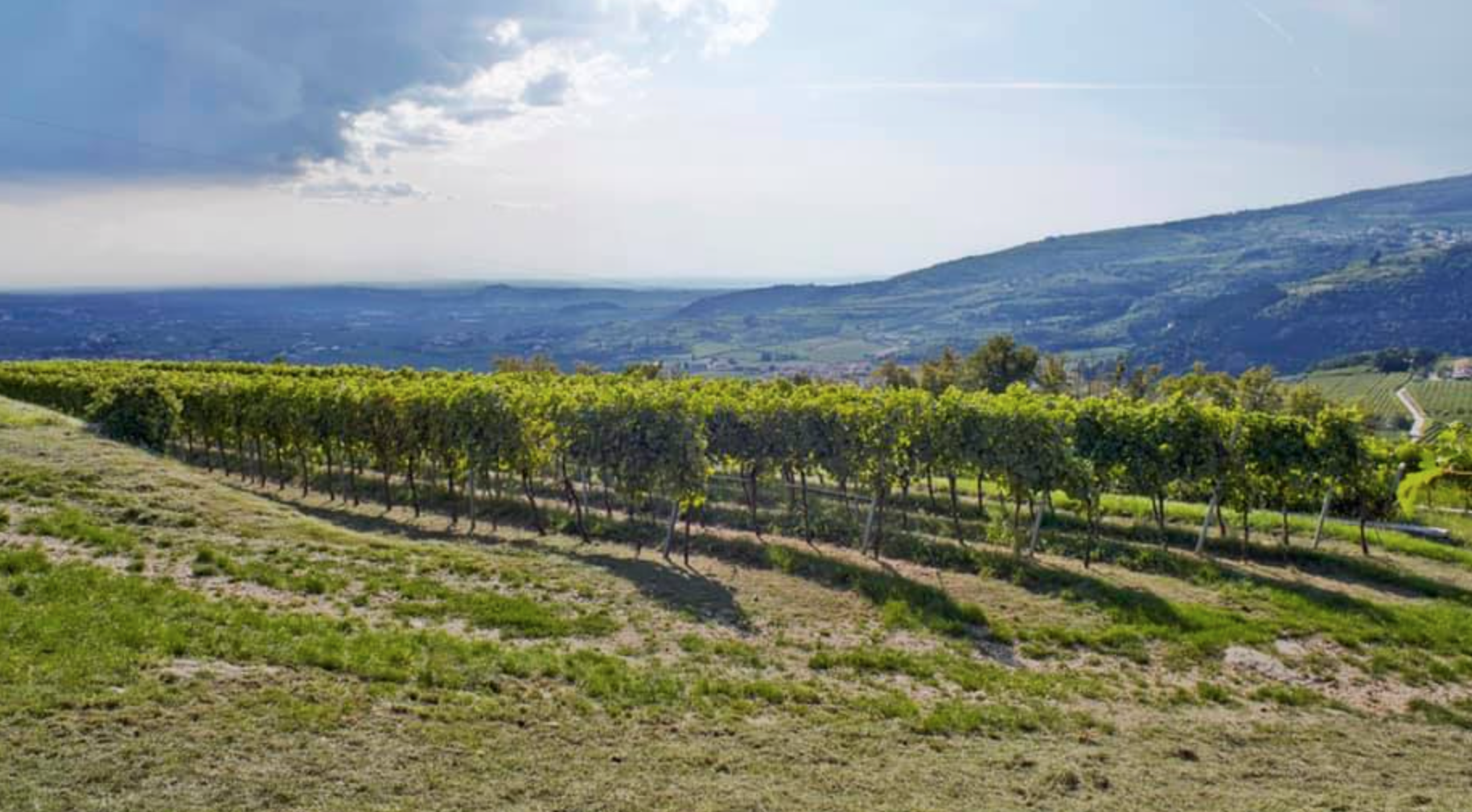 schermata2020 11 05alle21.20.56