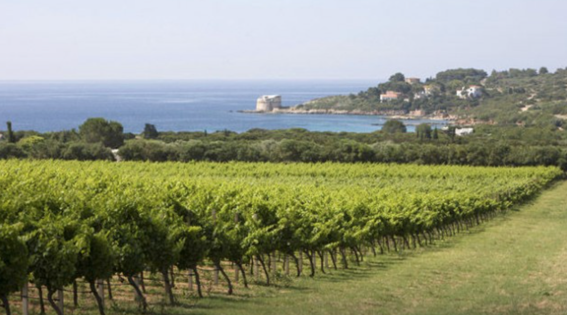 schermata2020 11 20alle00.24.23