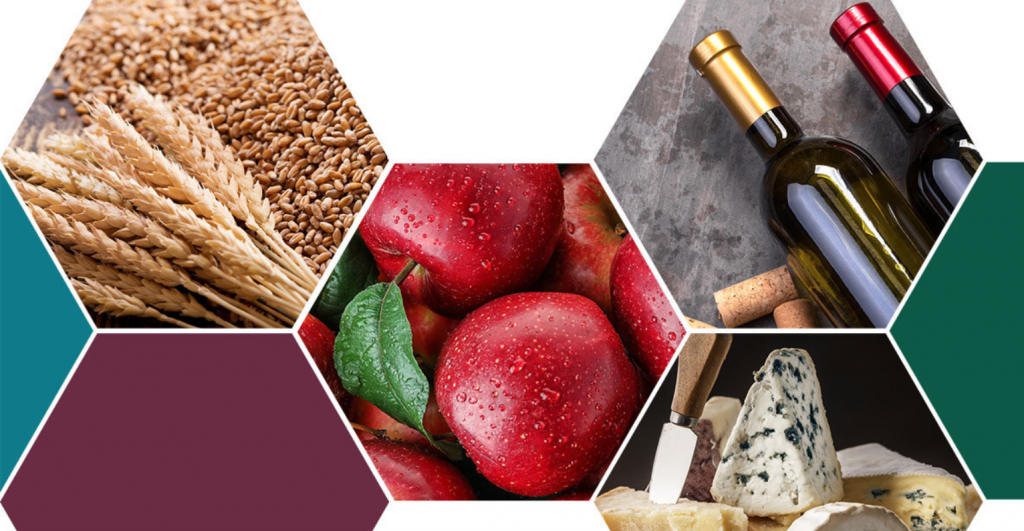 schermata2020 12 11alle12.03.05