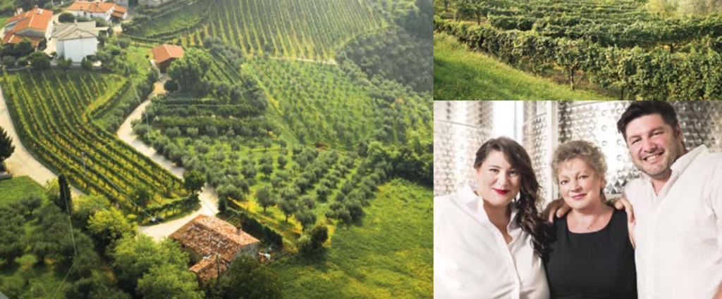 schermata2021 01 08alle15.33.26