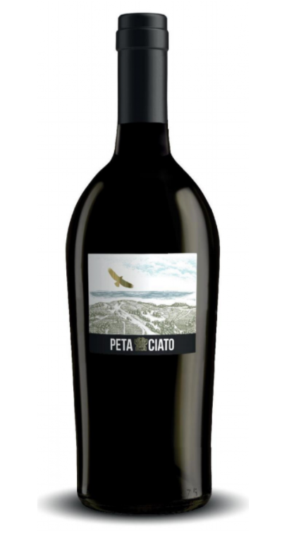 schermata2021 02 13alle19.14.55