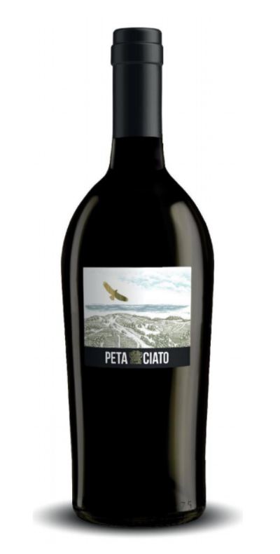 schermata2021 02 16alle11.28.49