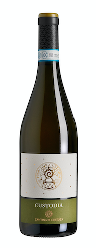 schermata2021 02 16alle11.48.45 1