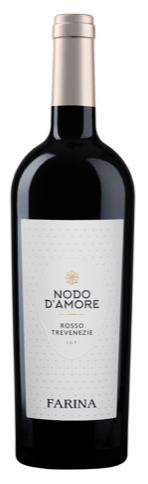 schermata2021 02 17alle13.58.55 1