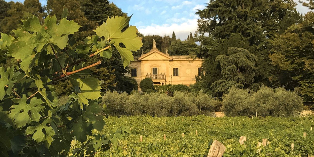 schermata2021 03 25alle11.57.18 1