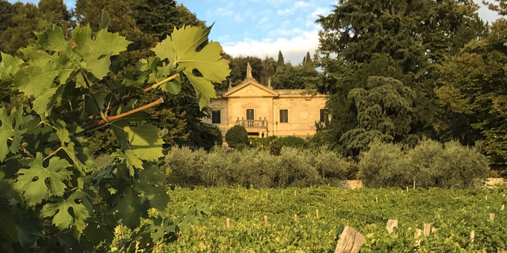 schermata2021 03 25alle11.57.18